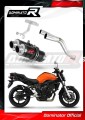 exhaust muffler DOMINATOR GP1 BLACK fits to Yamaha FZ6 2004  2010
