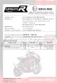 YZF 600 R Thundercat Homologated ECE Type approval - Street legal EXHAUST Yamaha Muffler Auspuff Sportauspuff Silencer Echappement Silencieux Scarico Scarichi Escape Wydech Tłumik OVAL 1996 - 2006 DOMINATOR 6