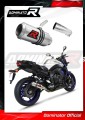 exhaust muffler DOMINATOR GP fits to Yamaha FZ8 FAZER 2010  2016 5