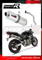 exhaust muffler DOMINATOR OV fits to Honda CB 600F HORNET 1998  2002