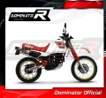 Yamaha XT 600 TENERE 1987 -1989  motorcycle Exhaust Muffler Auspuff Sportauspuff Silencer Echappement Silencieux Scarico Scarichi Escape Wydech Tłumik  GP1  Dominator 2