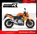 exhaust muffler DOMINATOR OV fits to Kawasaki ER  6 N / F 650 2009  2011 4