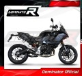 exhaust muffler DOMINATOR GP BLACK fits to BMW F900R 2020  2026 4