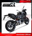 exhaust muffler DOMINATOR GP fits to BMW F900XR 2020  2026 3