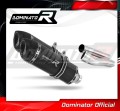 Ducati MONSTER 600 1993 - 2002 EXHAUST Muffler Auspuff Sportauspuff Silencer Echappement Silencieux Scarico Scarichi Escape Wydech Tłumik HP1 BLACK Dominator Exhaust System