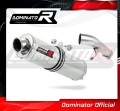 SUZUKI GSF 1250 BANDIT 2007 - 2016 EXHAUST Silencer Muffler Auspuff Sportauspuff Silencer Echappement Silencieux Scarico Scarichi  Marmitta Escape Wydech Tłumik ST DOMINATOR EXHAUST SYSTEM 1