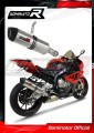 exhaust muffler DOMINATOR HP1 fits to BMW S1000RR 2012  2014 4