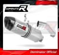 S1000RR Exhaust BMW Homologated EC Type approval  Street legal Approval Certificate Muffler Auspuff Sportauspuff Silencer Echappement Silencieux Scarico Scarichi Escape Wydech Tłumik HP1 2015 - 2016 Dominator 1