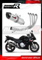 complete exhaust system with muffler DOMINATOR Full System HP1 fits to Suzuki GSXF 650 2007  2016