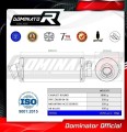Kawasaki ZX10R 2004 - 2005 Motorcycle EU Approved Street Legal Muffler Auspuff Sportauspuff Silencer Echappement Silencieux Scarico Scarichi Escape Wydech Tłumik ST Dominator Exhaust System 1