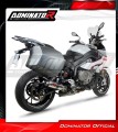 exhaust muffler DOMINATOR GP1 fits to BMW S1000XR 2015  2019 4