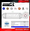 exhaust muffler DOMINATOR HP1 fits to Triumph TT 600  2