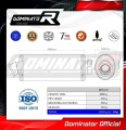 F650ST Exhaust BMW Muffler Auspuff Sportauspuff Silencer Echappement Silencieux Scarico Scarichi Escape OVAL Dominator 1