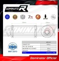 wydech tłumik DOMINATOR GP1 pasujący do motocykla Honda CBF 250 2004 - 2006 2