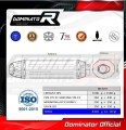 YZF R1 1000 RN22 EXHAUST Yamaha Muffler Auspuff Sportauspuff Silencer Echappement Silencieux Scarico Scarichi Escape Wydech Tłumik Carbon Tip HP1 2009 - 2011 DOMINATOR 3