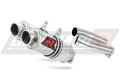 RSV 1000 R Exhaust Aprilia Muffler Auspuff Sportauspuff Silencer Echappement Silencieux Scarico Scarichi Escape GP 1 2004 - 2009 Dominator  x
