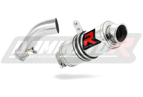 exhaust muffler DOMINATOR GP1 fits to BMW R1200R 2006  2009 3