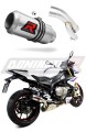 exhaust muffler DOMINATOR GP fits to BMW S1000R 2017  2020 4