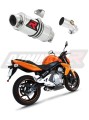 exhaust muffler DOMINATOR GP1 fits to Kawasaki ER  6 N / F 650 2006  2008 6