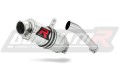 exhaust muffler DOMINATOR GP1 fits to Yamaha FZS FAZER 600 1998  2003