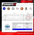 ZX12R EXHAUST Kawasaki Muffler Auspuff Sportauspuff Silencer Echappement Silencieux Scarico Scarichi Escape Wydech Tłumik OVR 2000 - 2005 Dominator  1