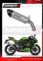 exhaust muffler DOMINATOR titanium HP8 fits to Kawasaki ZX4R / RR 2023  2024