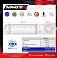 exhaust muffler DOMINATOR S6 fits to Suzuki GSF BANDIT 600 2000  2004 4