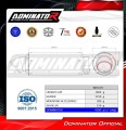 complete exhaust system with muffler DOMINATOR Full System GPF BLACK fits to Triumph Trident 660 2021  2024 6