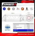 complete exhaust system with muffler DOMINATOR Full System OV G2 fits to Yamaha YZFR3 2025  2026 6