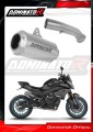 evacuare amortizor de zgomot DOMINATOR GPS se potrivește motocicletei CF MOTO 800 NK 2023 2026 1