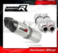 950 SE super enduro R EXHAUST KTM Muffler Auspuff Sportauspuff Silencer Echappement Silencieux Scarico Scarichi Escape Wydech Tłumik Carbon Tip HP1 Dominator