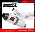 WR 250F EXHAUST Yamaha Muffler Auspuff Sportauspuff Silencer Echappement Silencieux Scarico Scarichi Escape Wydech Tłumik Carbon Tip MX 2001 - 2006 DOMINATOR 1