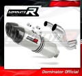 Pegaso 650 Strada Exhaust Aprilia Muffler Auspuff Sportauspuff Silencer Echappement Silencieux Scarico Scarichi Escape Carbon Tip HP1 2007 - 2010 Dominator 1