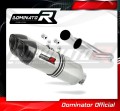 Pegaso 650 Exhaust Aprilia Muffler Auspuff Sportauspuff Silencer Echappement Silencieux Scarico Scarichi Escape Carbon Tip HP1 1997 - 2000 Dominator 1